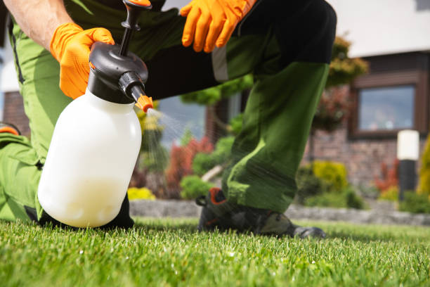 Best Local Pest Control Services  in Oakland, TN