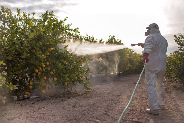 Best Residential Pest Control  in Oakland, TN
