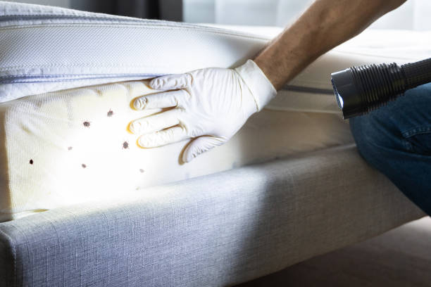 Best Cockroach Control Services  in Oakland, TN