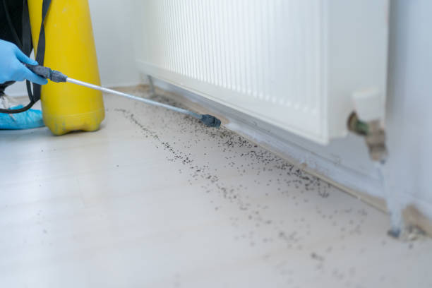 Best Best Pest Control Near Me  in Oakland, TN