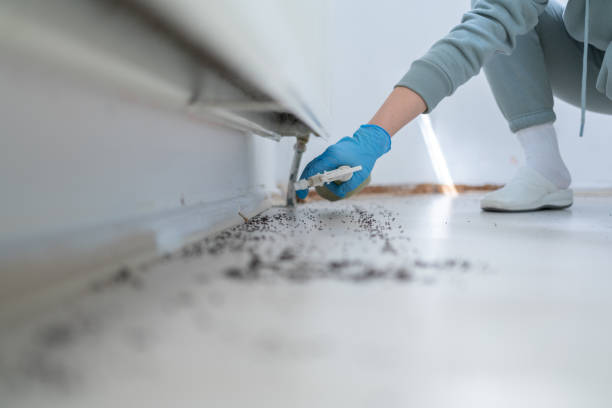 Best Commercial Pest Control Services  in Oakland, TN